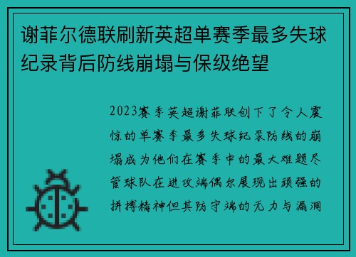 谢菲尔德联刷新英超单赛季最多失球纪录背后防线崩塌与保级绝望